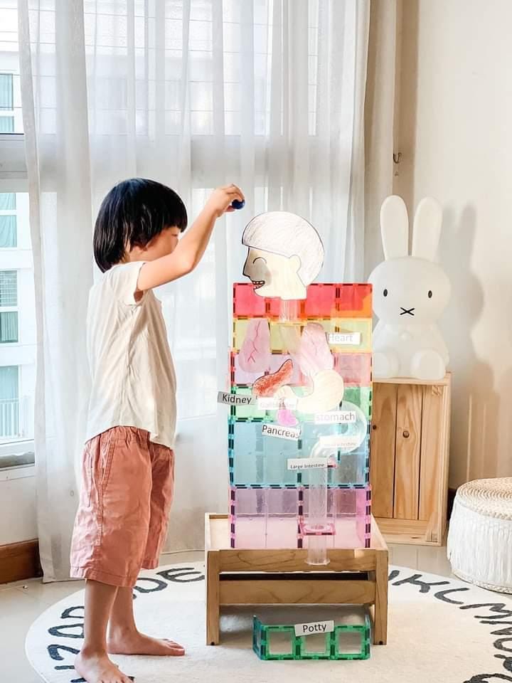 120 PCS MARBLE RUN - TRANSPARENT TUBES